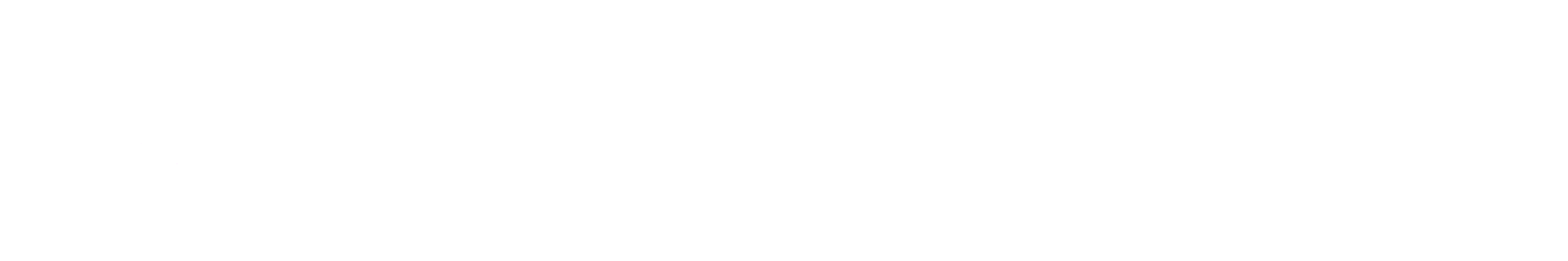 Icon Wonder Image